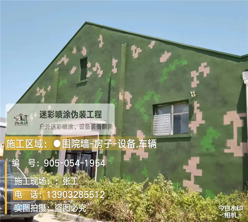 阿坝外墙数码迷彩漆施工报价清单（100㎡标准墙面测算）